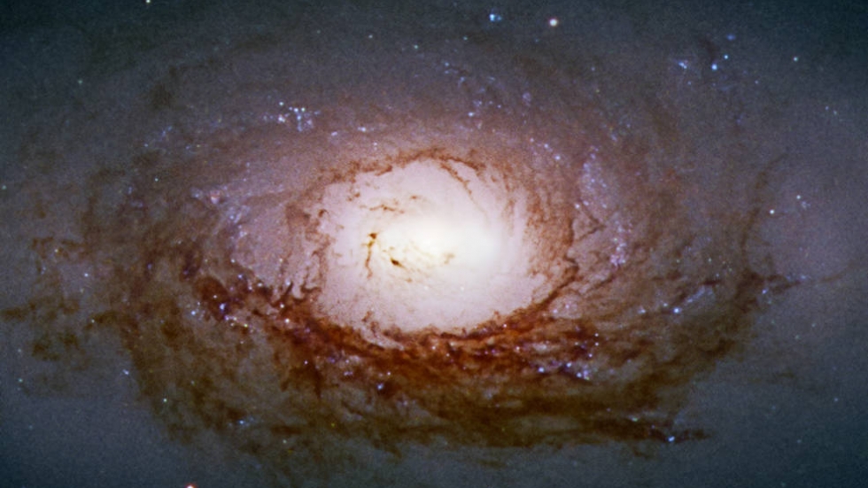 НАСА пусна 30 невиждани досега снимки от телескопа „Хъбъл“ (ГАЛЕРИЯ)