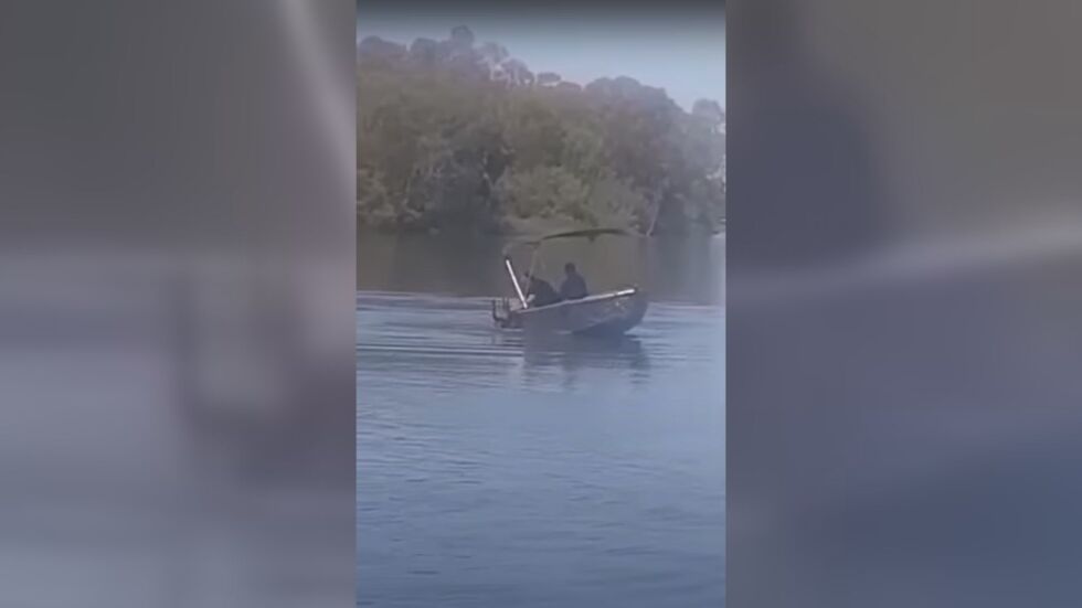 Мъж издърпа кенгуру за ушите в лодката си, за да го спаси от удавяне (ВИДЕО)