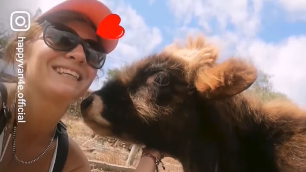 Хепи Ванче отново се срещна с теленцето Рошко от "Фермата" (ВИДЕО)
