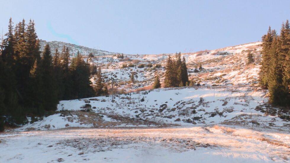  Без сняг през декември: Какви са условията за ски на Витоша?