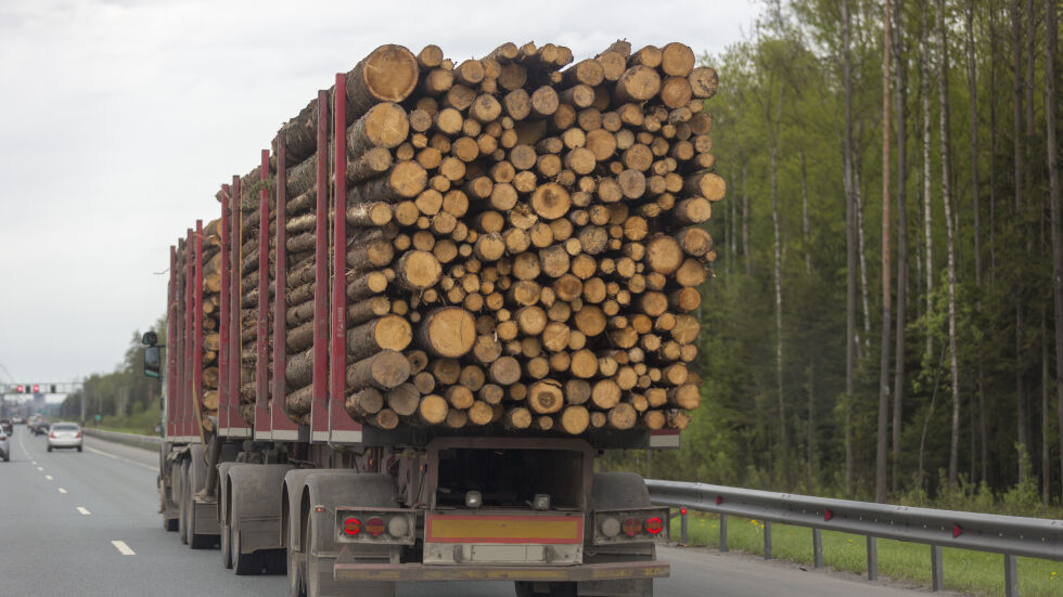Двоен ръст на доставките на дърва в Югозападна България