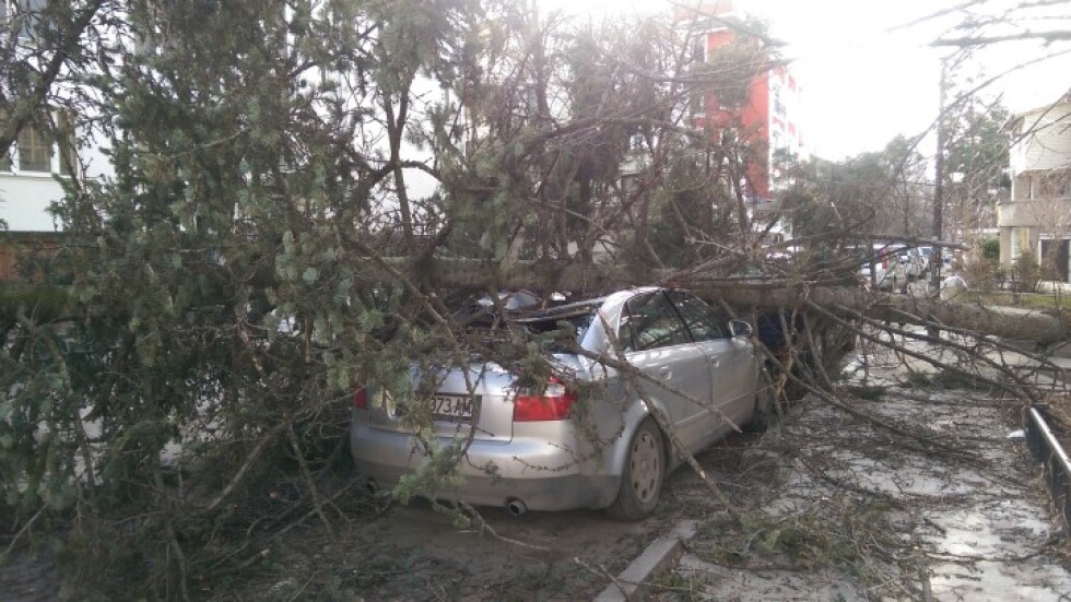 Един тежко ранен и много щети след ураганния вятър в Западна България (ОБЗОР)