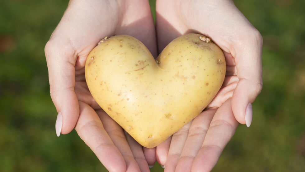 Картофите понижават риска от сърдечен удар и деменция