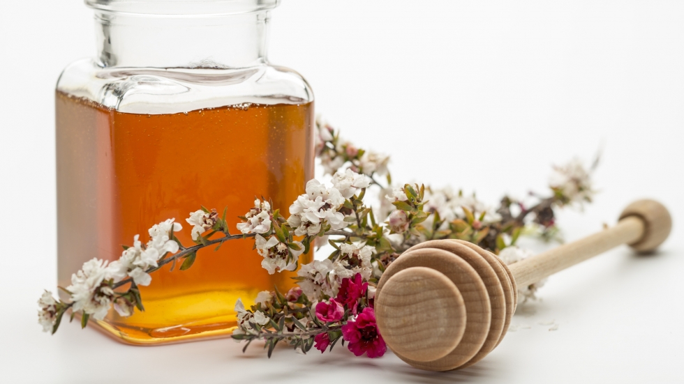 Какво представлява медът от манука и защо е по-добър от антибиотиците