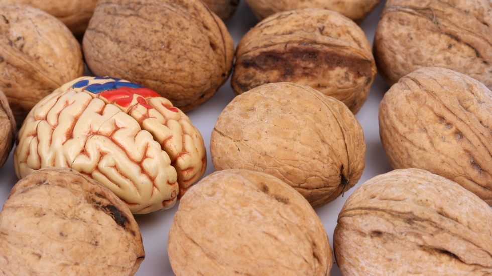 5 храни, които усилват способностите на мозъка