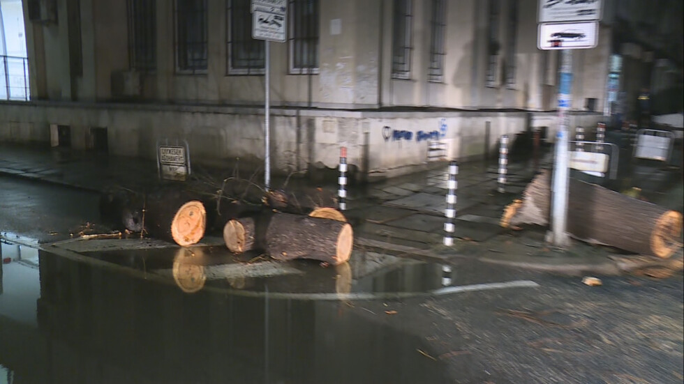 Десетки сигнали за паднали клони, дървета и ламарини в София