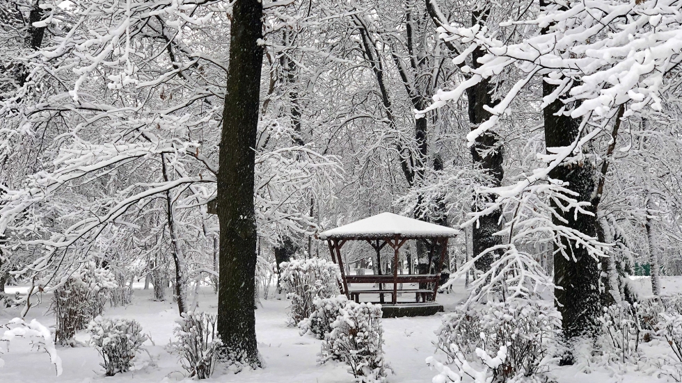 Тихо се сипе белият сняг в Борисовата градина (СНИМКИ)