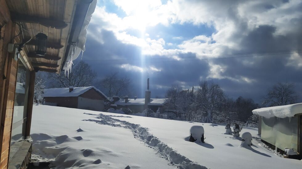 Снимка на деня: Зимната красота на Троянския Балкан