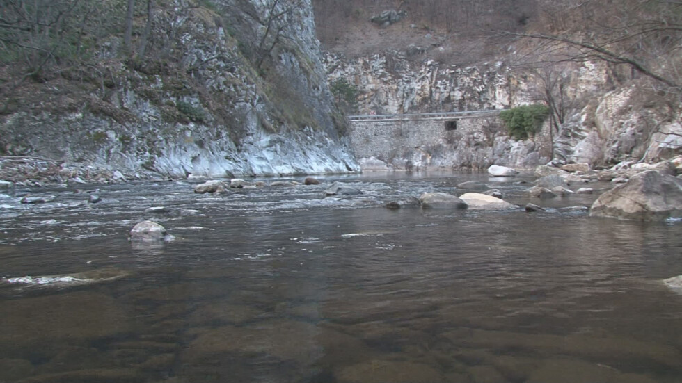 Съмнение за отровени реки след аварията на хвостопровод в Лъки