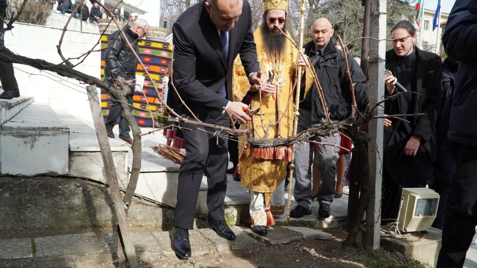 Президентът Румен Радев участва в ритуала по зарязване на лозята