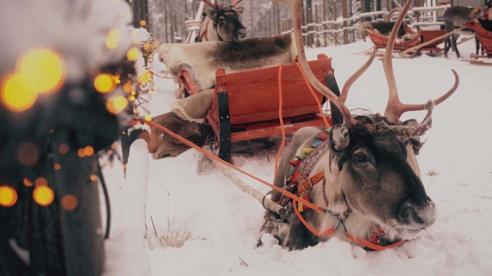 На гости в Лапландия: Какво е да живееш в града на Дядо Коледа?