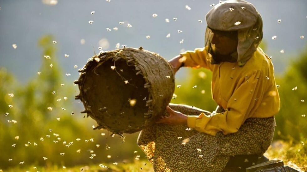 "Медена земя" разказва историята на една от последните пчеларки в забравено кътче на Европа