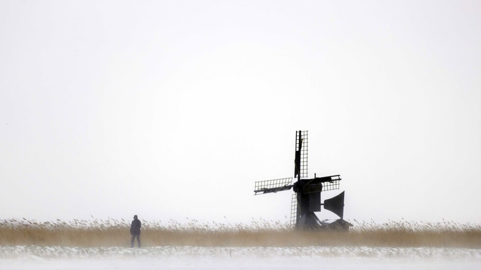 Голяма снежна буря връхлетя Нидерландия за първи път от 10 години насам (СНИМКИ)