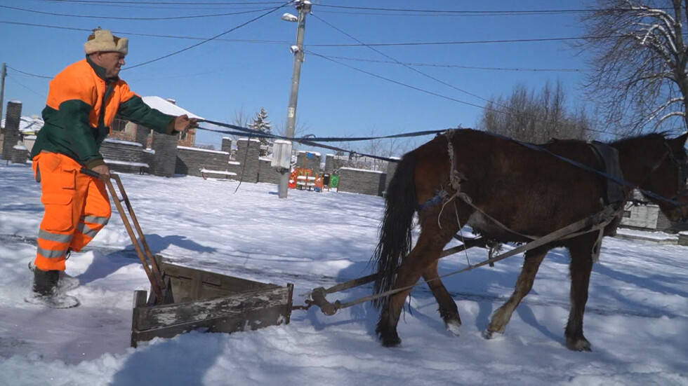 Снегорин с кон: Благодарение на кобилата Веска тротоарите в Момино село са чисти