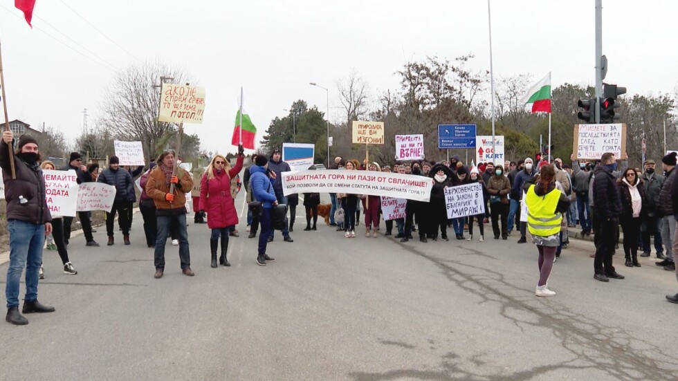 Втори протест против изсичането на борова гора във Варна