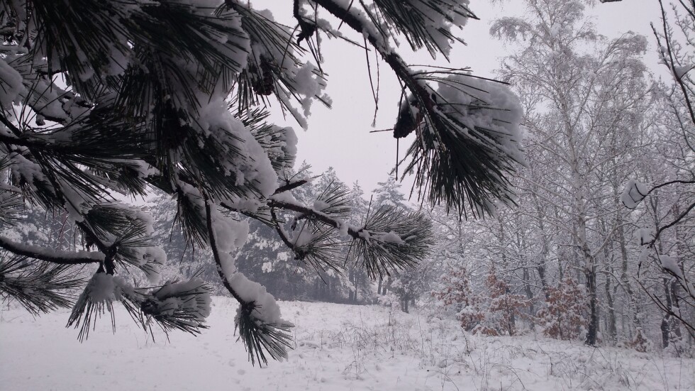След падналия сняг: Пътищата са проходими, 4 села в Родопите са без ток