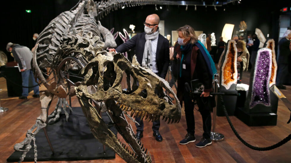 Нов музей в Дания показва най-богатата динозавърска колекция в Европа