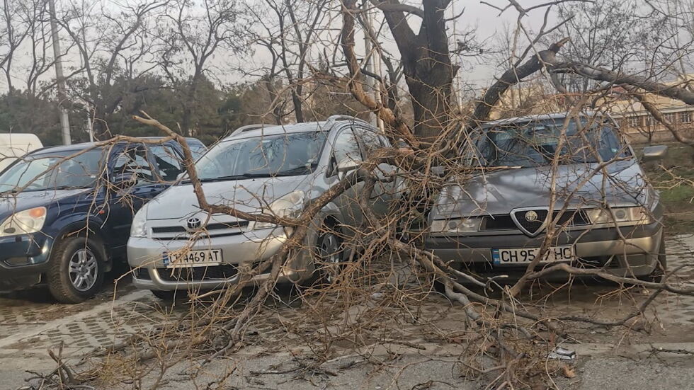 Ураганен вятър остави десетки в Сливен без ток