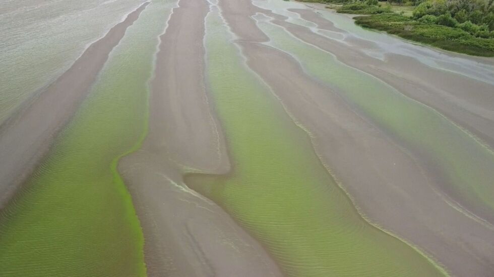 Река стана зелена: Препоръчва се водата да не се докосва (ВИДЕО)