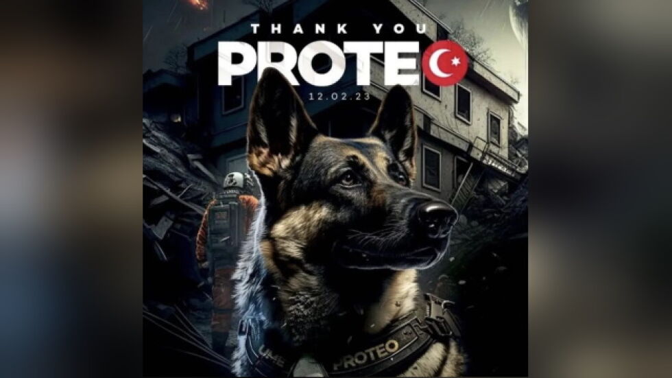 Смъртта на герой: Куче спасител загина при опит да спаси хора от отломките в Турция (СНИМКИ и ВИДЕО)