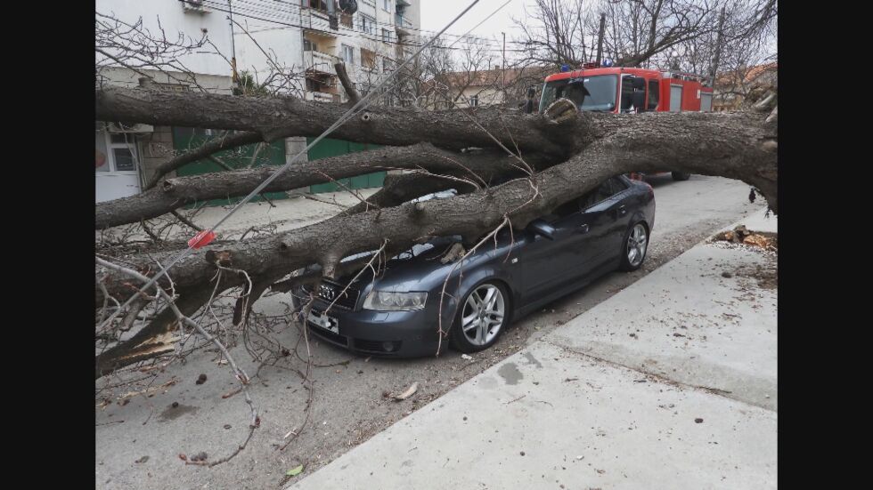 Заради ураганен вятър: Дърво премаза кола в Харманли