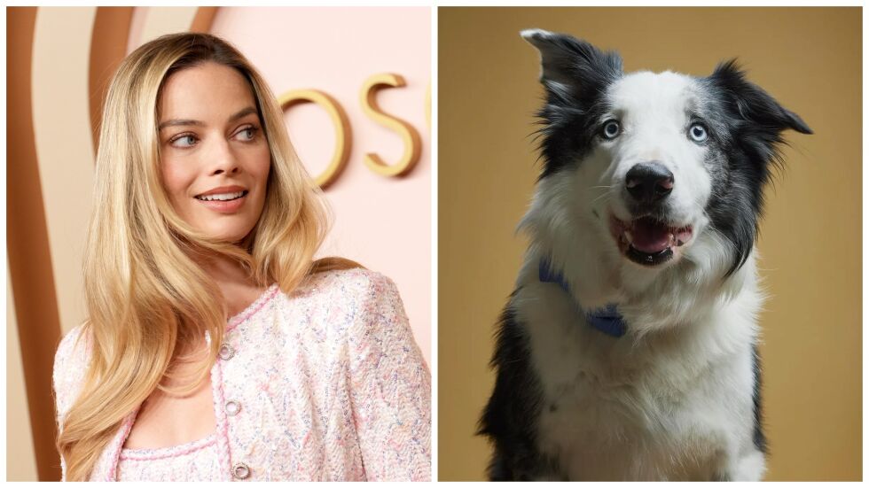 Не Марго Роби, а кучето Меси обра овациите на специален обяд за Оскарите (ВИДЕО)