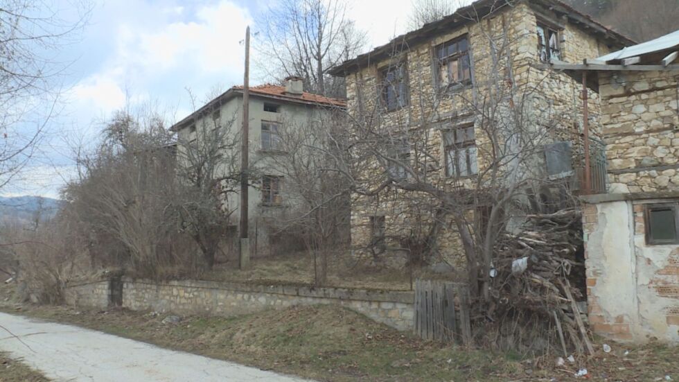  Мечка изяжда четири телета и една крава, хора се опасяват да не влезе в къщите им 