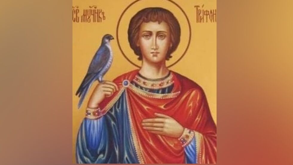  Трифоновден е (нов стил): Какви са традициите и кой има имен ден? 