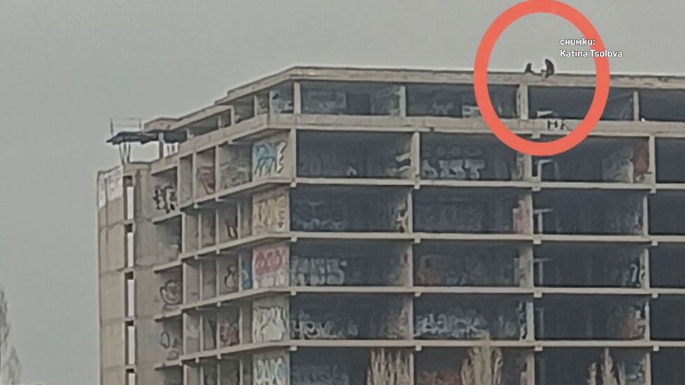  Опасни селфита на зарязан градеж в София 