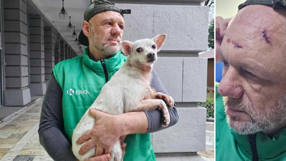  Ветеринар е пребит с железна тръба, в опит да избави кучето си (ВИДЕО, СНИМКИ) 