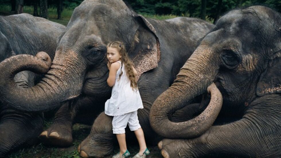 Детето, което прегръща слонове