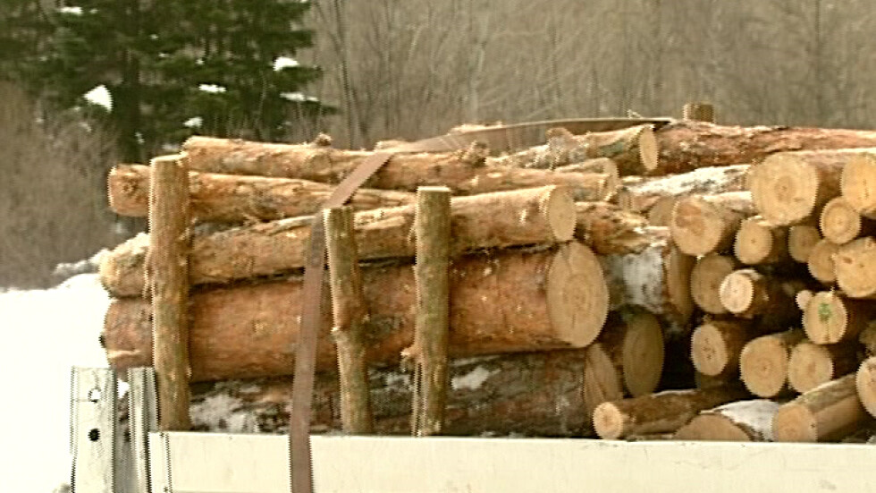 Пет села в Кърджалийско останаха без дърва за огрев