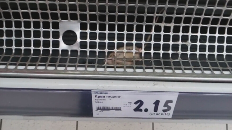 Клиент на столичен хипермаркет засне мишка на рафт с хранителни продукти (ВИДЕО)
