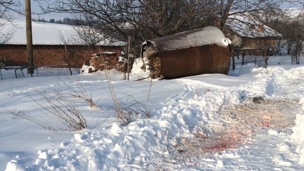 Кучетата, убили възрастна жена в Козловец, са били домашни