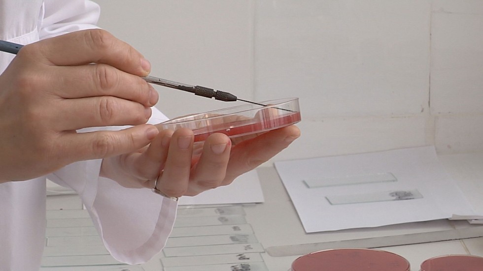 Регистриран е нов случай на грип в Бургаско