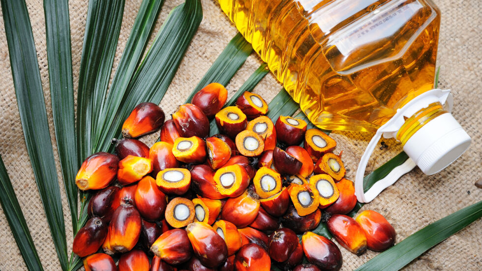 СЗО: Палмовото масло води до затлъстяване и хронични болести