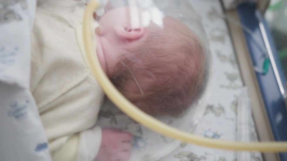 Над 2000 бебета за 4 години са се родили с дарен генетичен материал