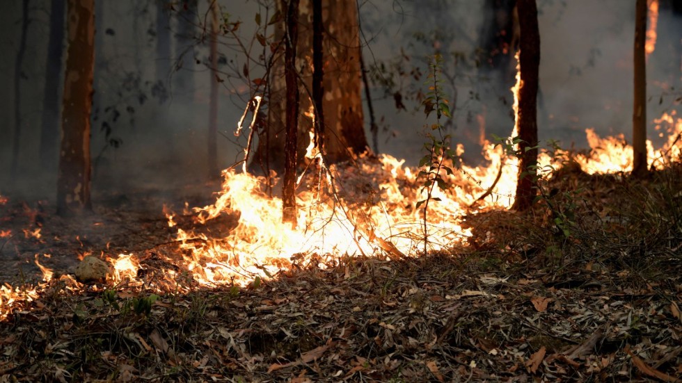 Австралия продължава да се бори срещу големите горски пожари