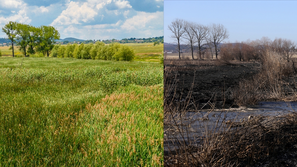 14 снимки на Драгоманското блато преди и след пожара 
