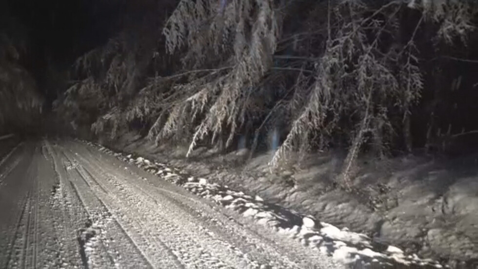Пътни ограничения заради обилен снеговалеж в Северозападна България