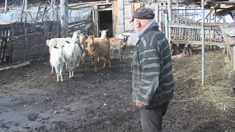 Не без животните ми: История за спасяването на възрастен мъж по време на наводненията