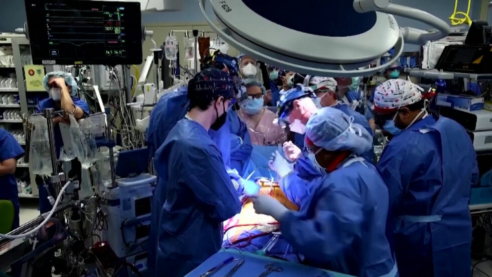 Присаденото сърце от прасе: Кога такава трансплантация е възможна да бъде направена у нас?