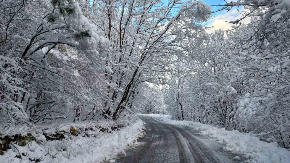 Жълт код за силен вятър и превалявания от сняг тази неделя в много части на България