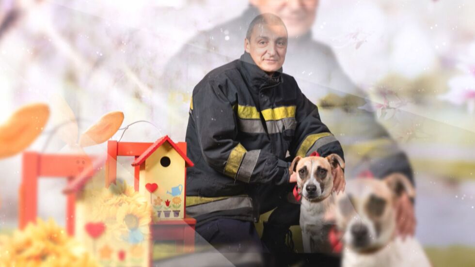 Календар с кауза: Как пожарникари от Бургас помагат на изоставените кучета