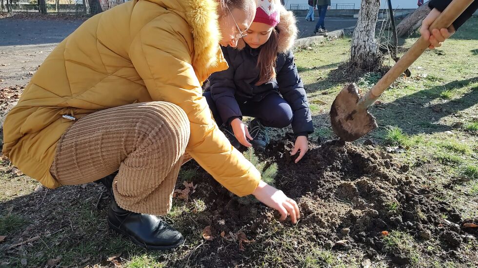 Акция „Жива елха“ в Бургас дава нов живот на коледните дръвчета (СНИМКИ)
