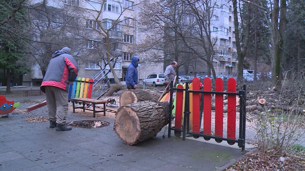 Голямо дърво падна върху детска площадка в София 