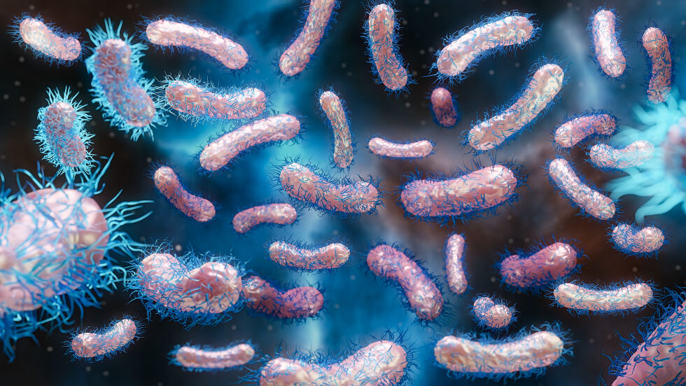 Учените с нов клас антибиотик, който убива бактериите, резистентни към лекарствата