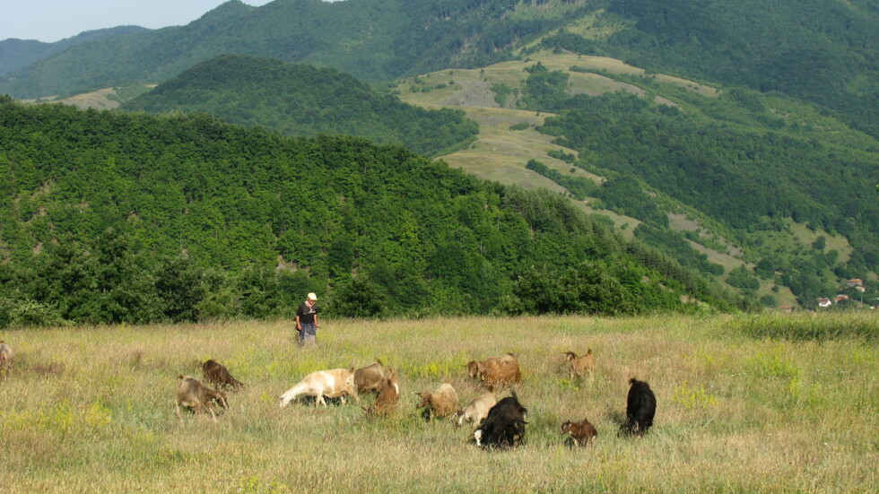 Охранители пребиха жестоко пастир в Новозагорско