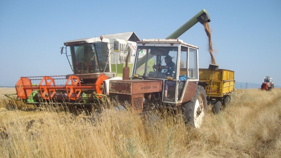 Няма пазар за българската пшеница