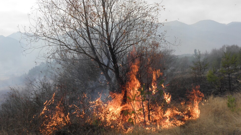 Пожар изпепели къщи в монтанското село Славотин (ВИДЕО)